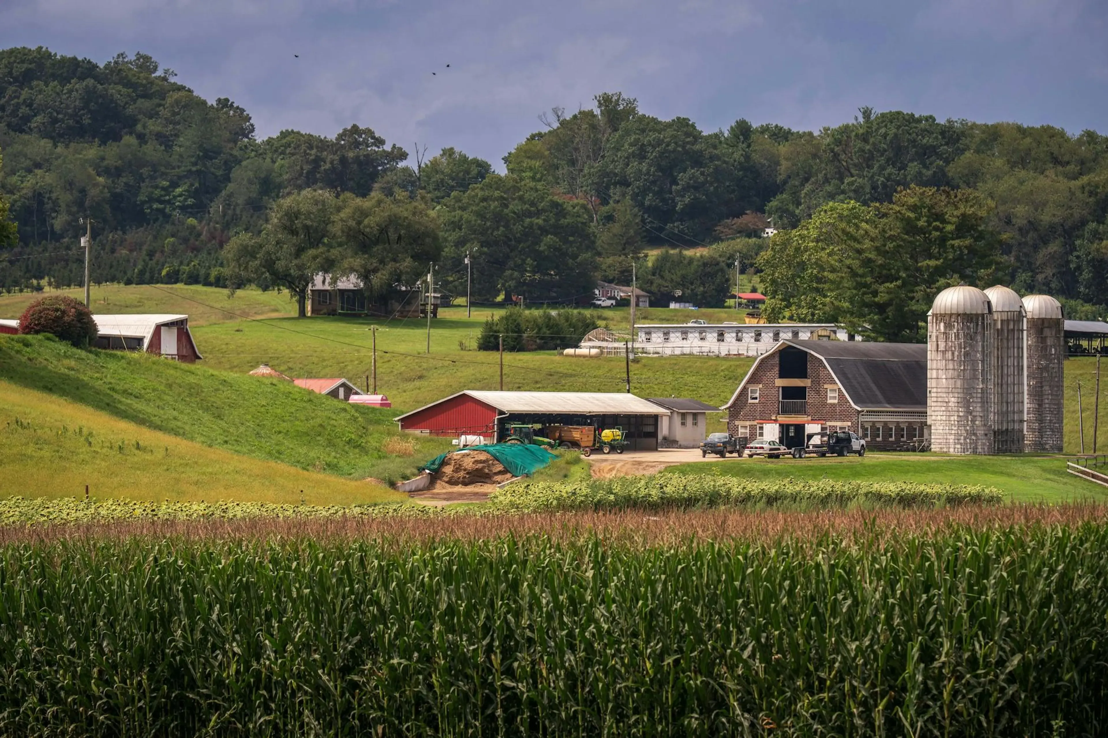 Commercial pest control for farms, grain stores and equestrian premises