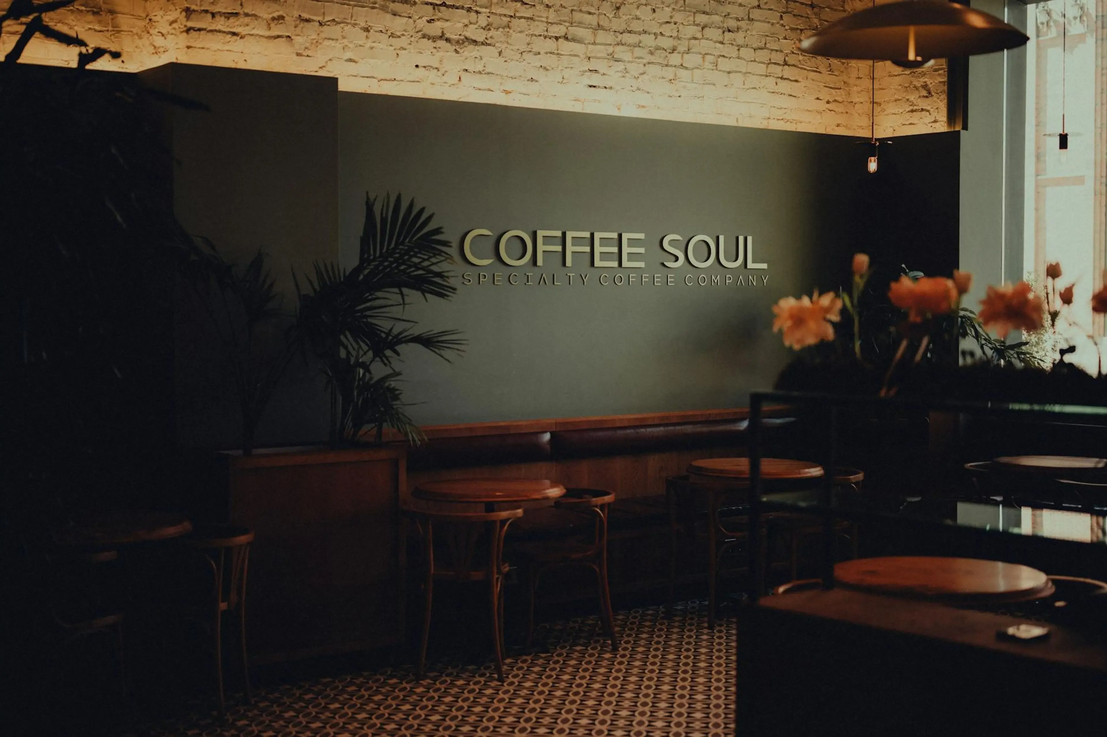 Commercial pest control for cafés
