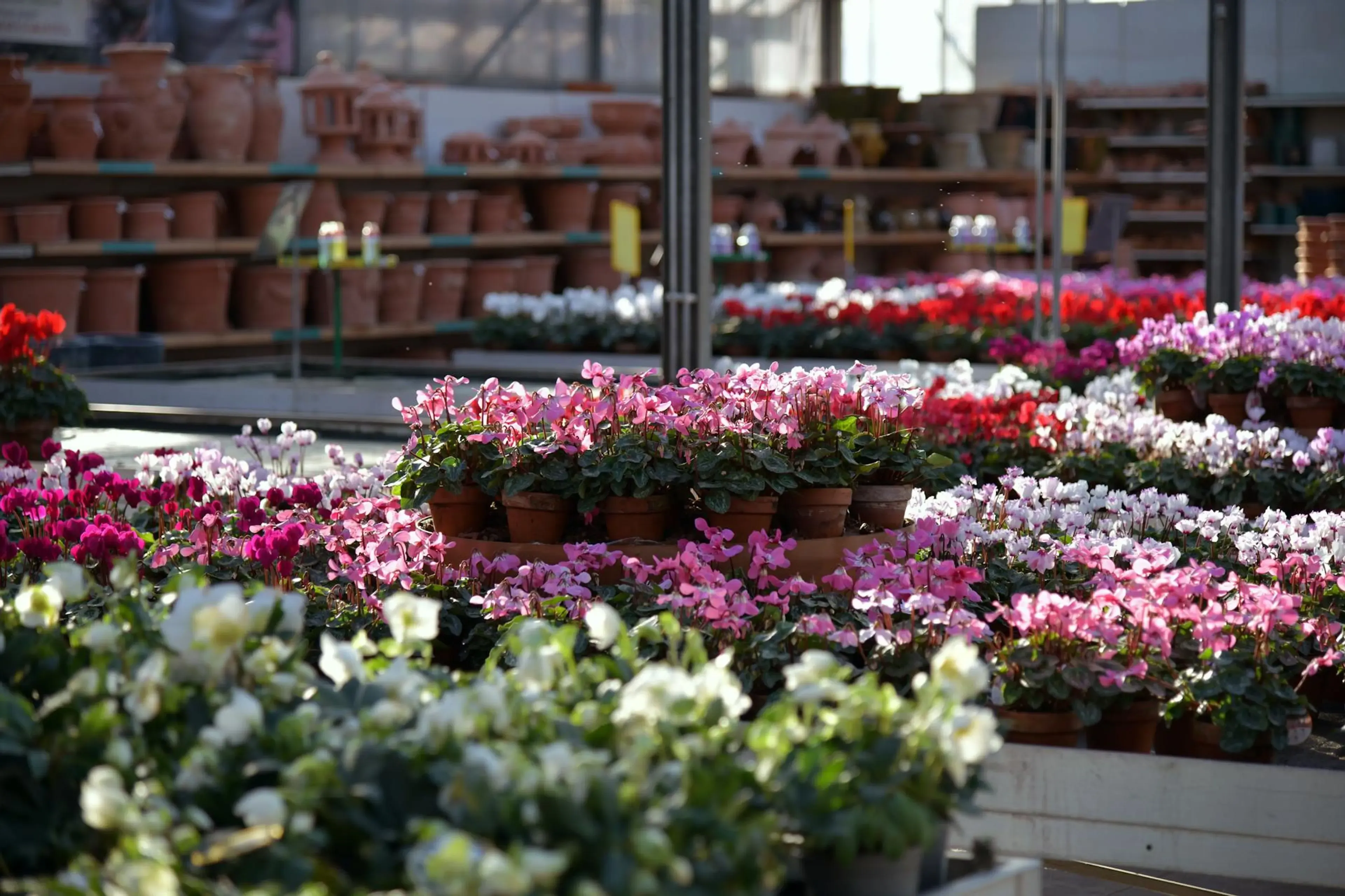 Commercial pest control for garden centres