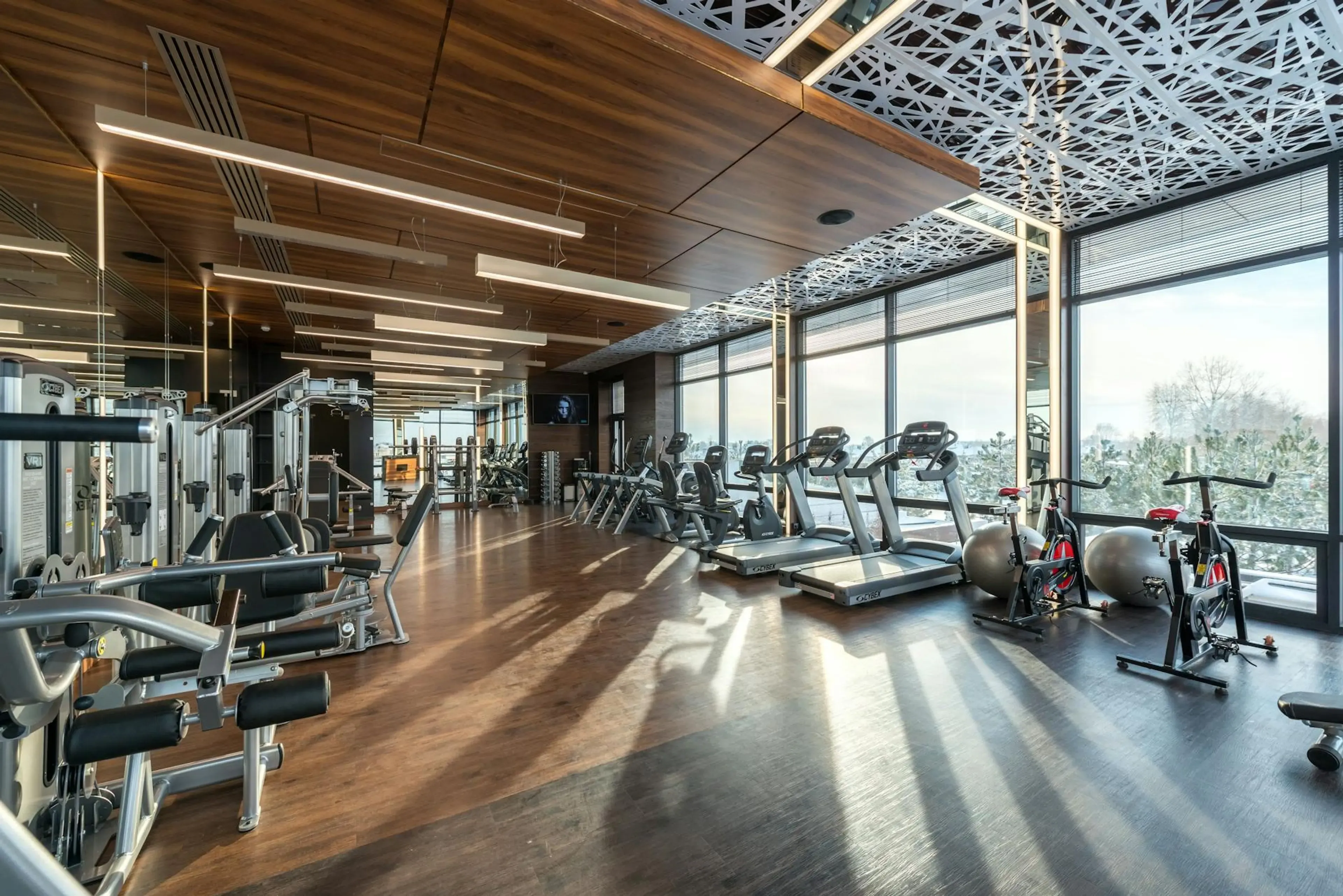 Commercial pest control for gyms