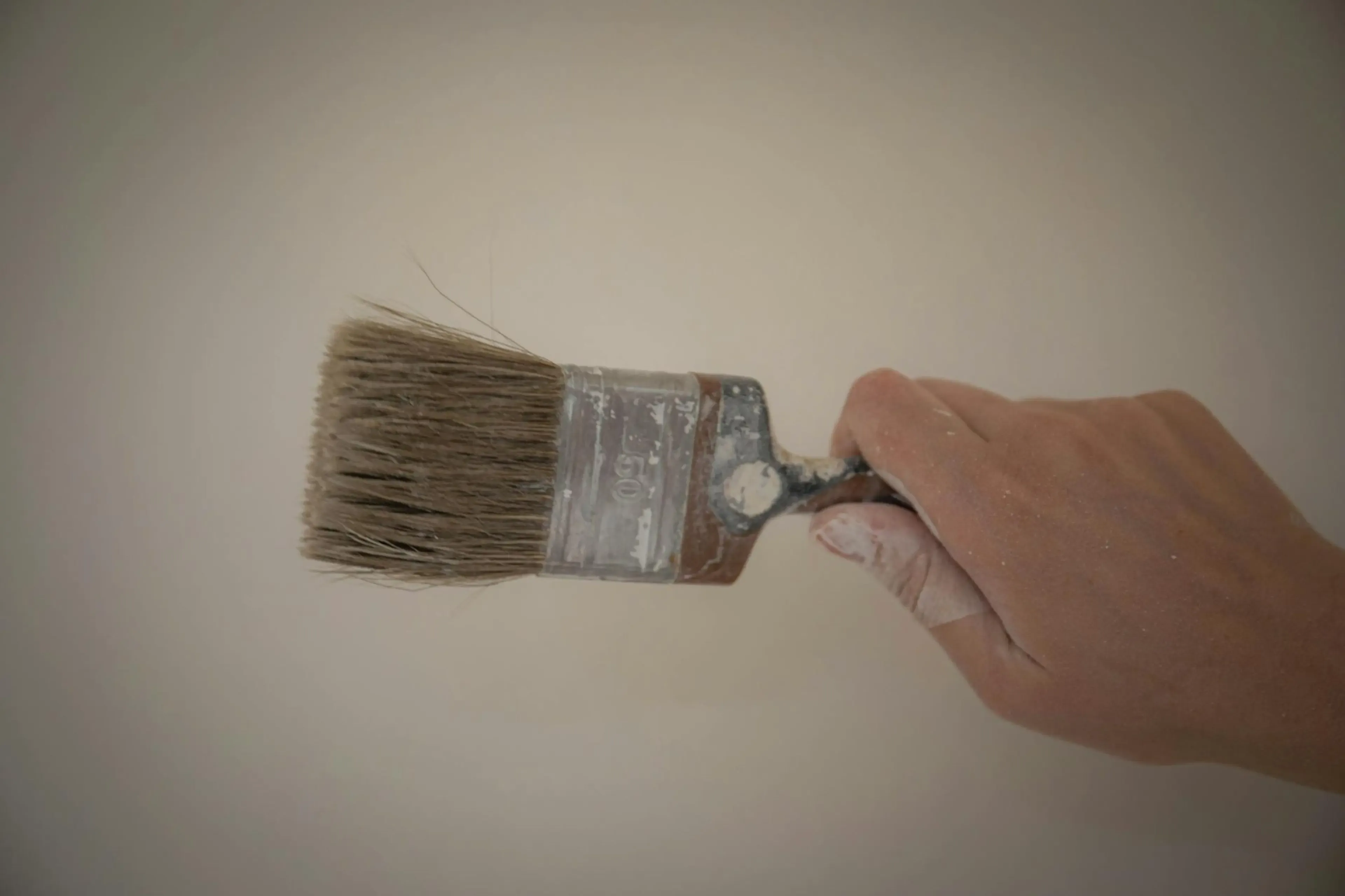 Commercial pest control for painters & decorators