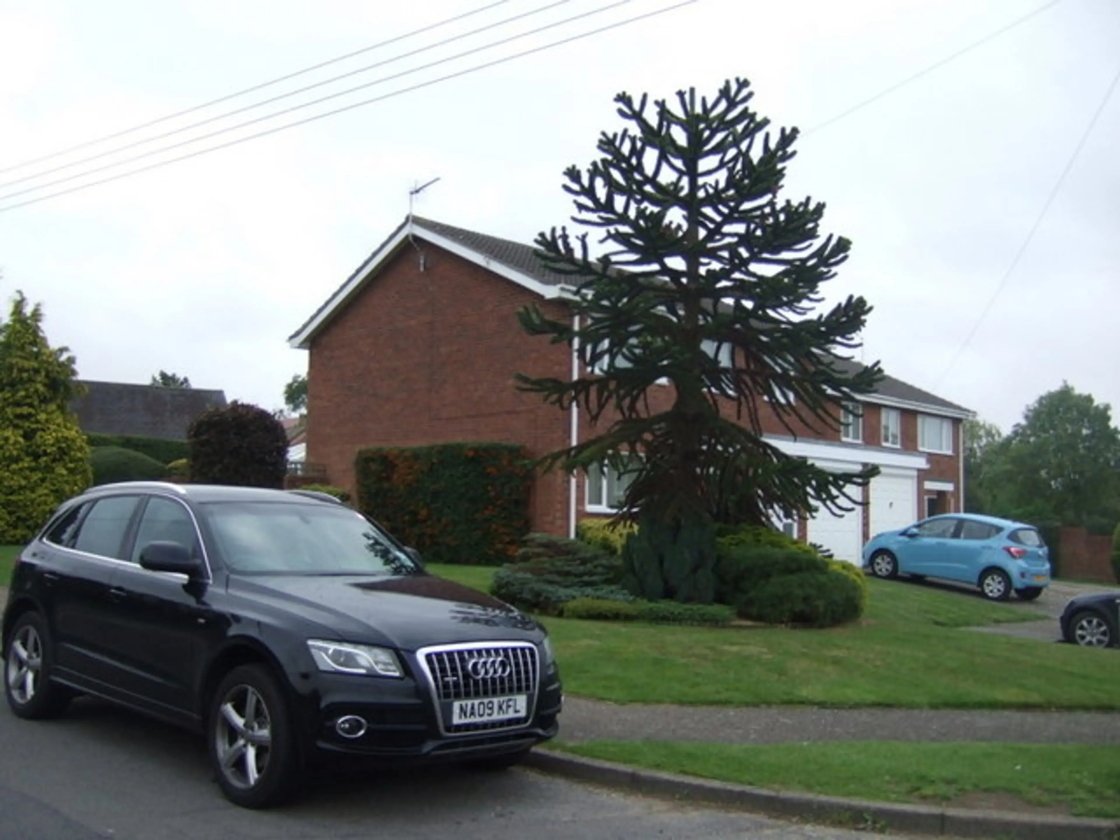 Pest control in Creeting St Mary