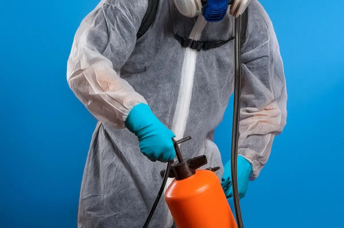 Bed Bug treatment in Henley