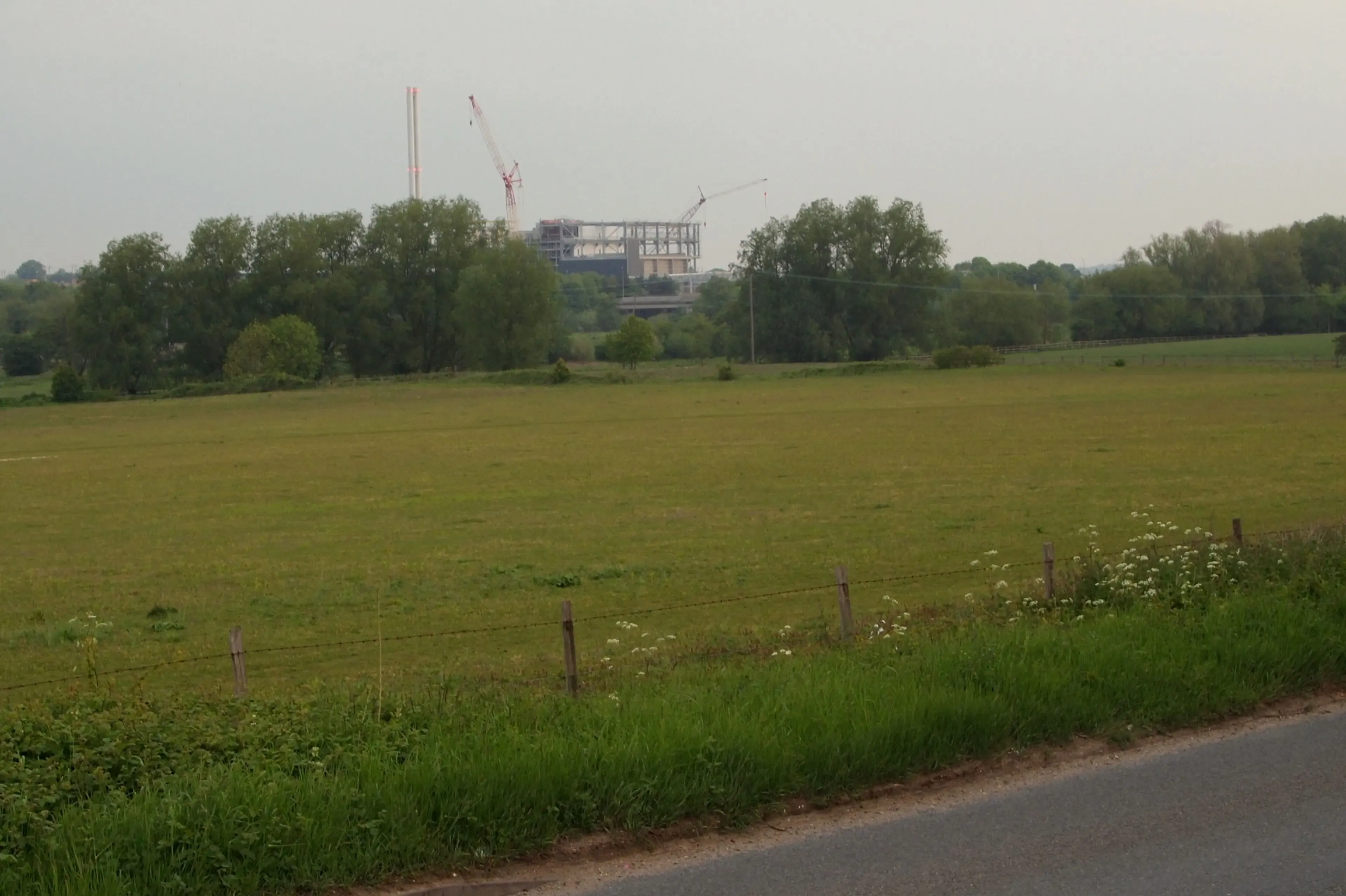 Pest control in Claydon