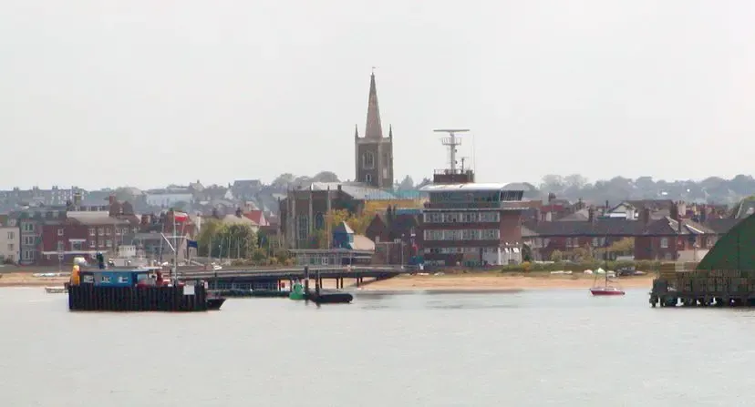 Pest control in Harwich