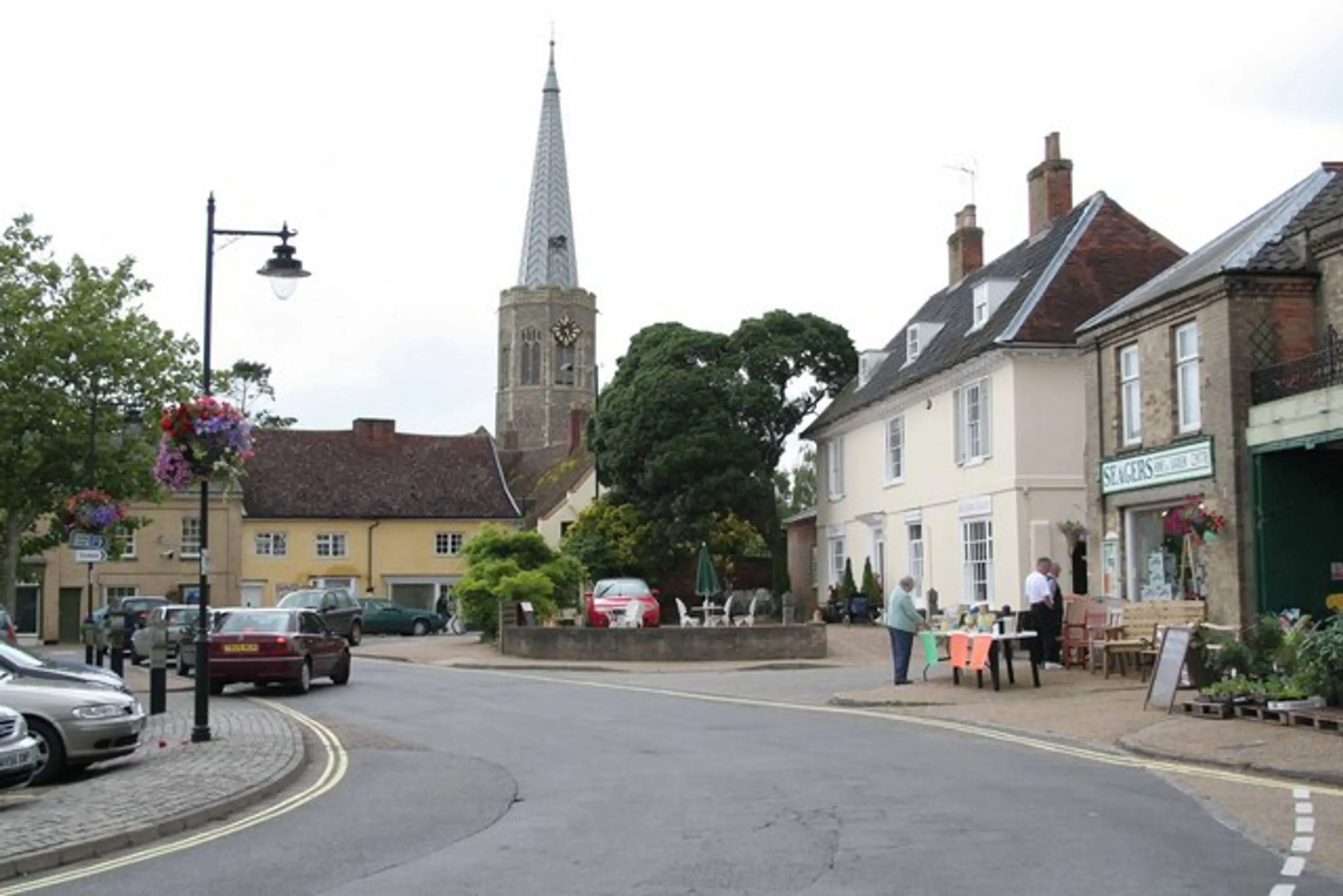 Pest control in Wickham Market