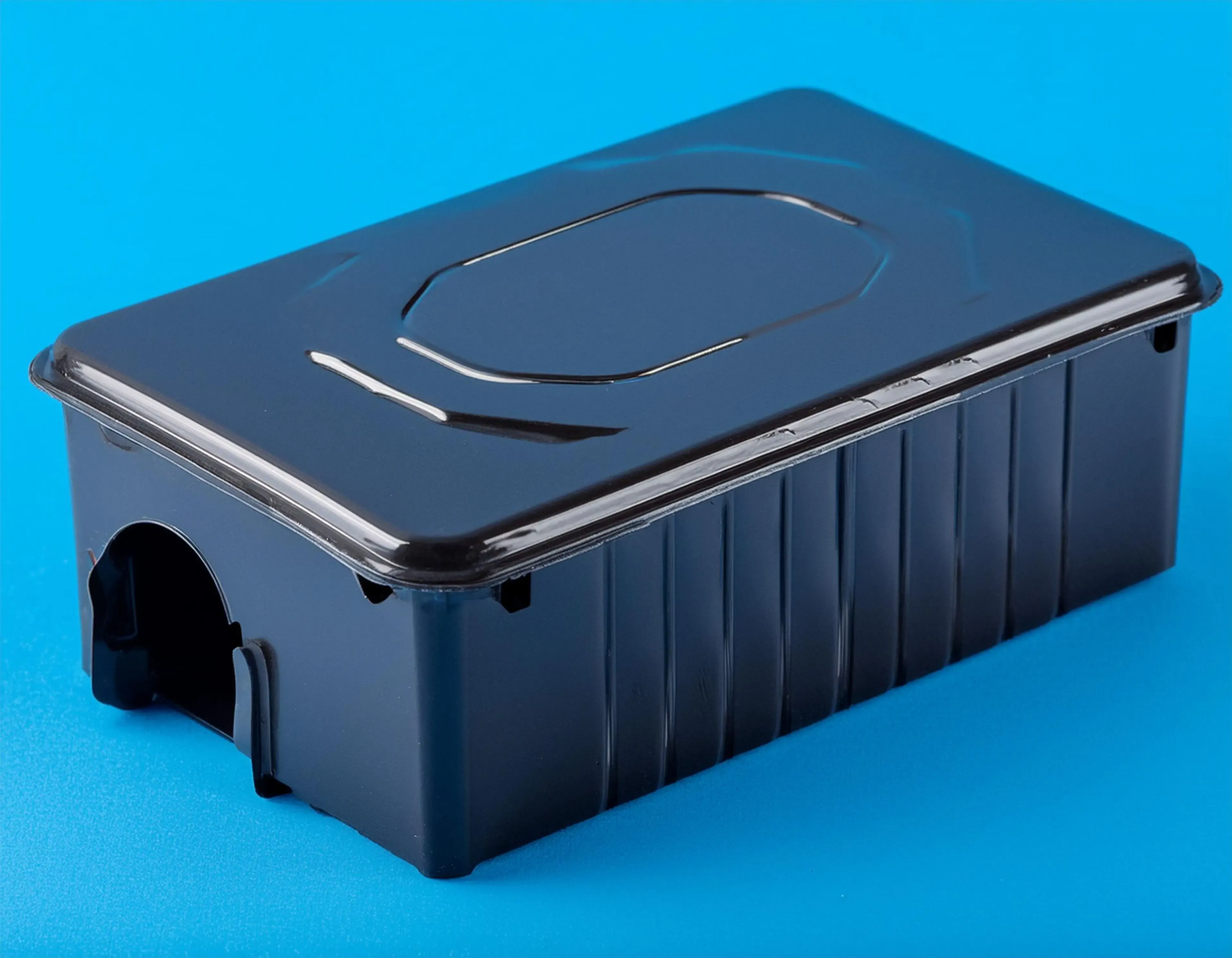 How Much Does Rat Control Cost?