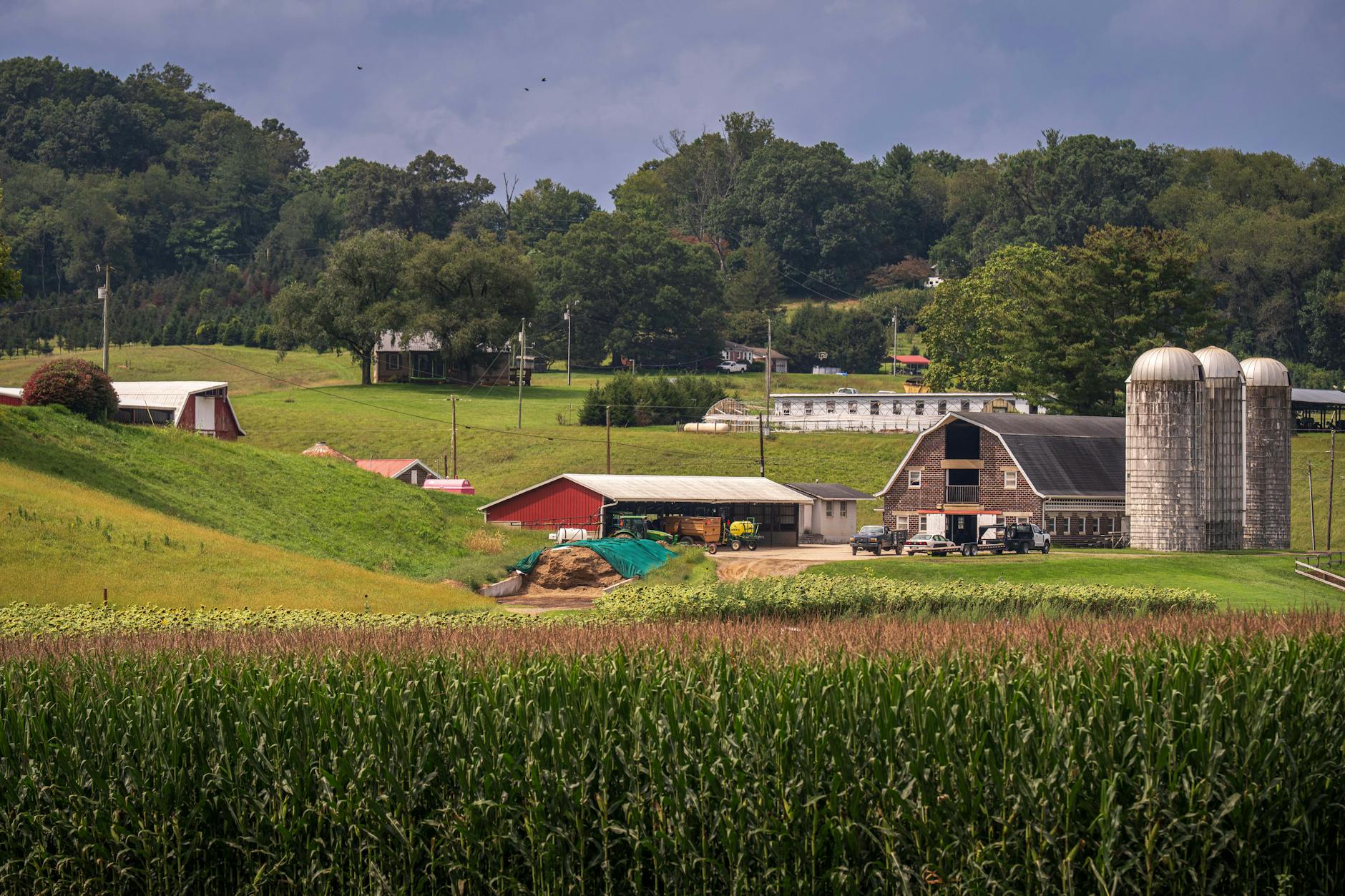 Commercial pest control for farms, grain stores and equestrian premises