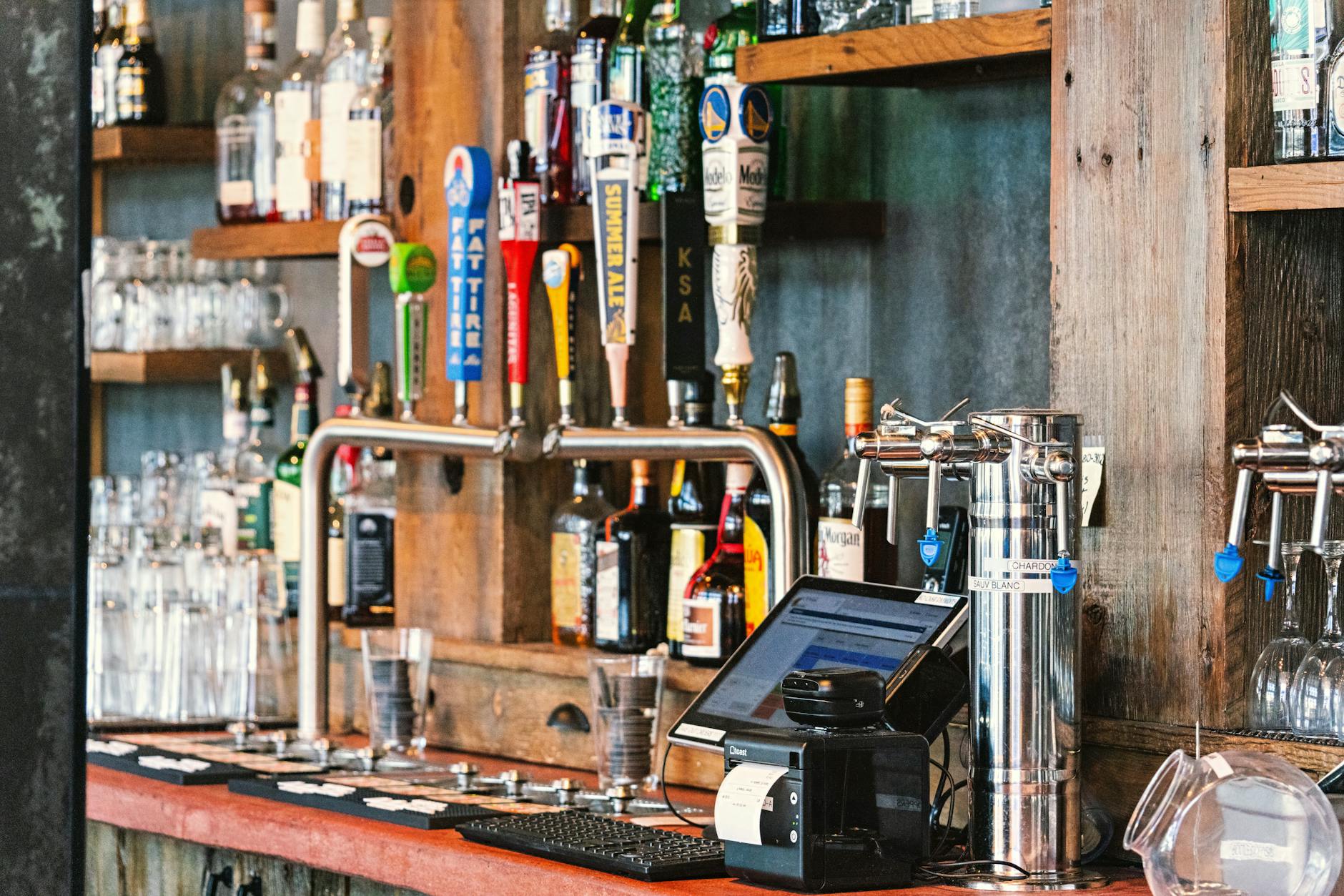 Commercial pest control for bars