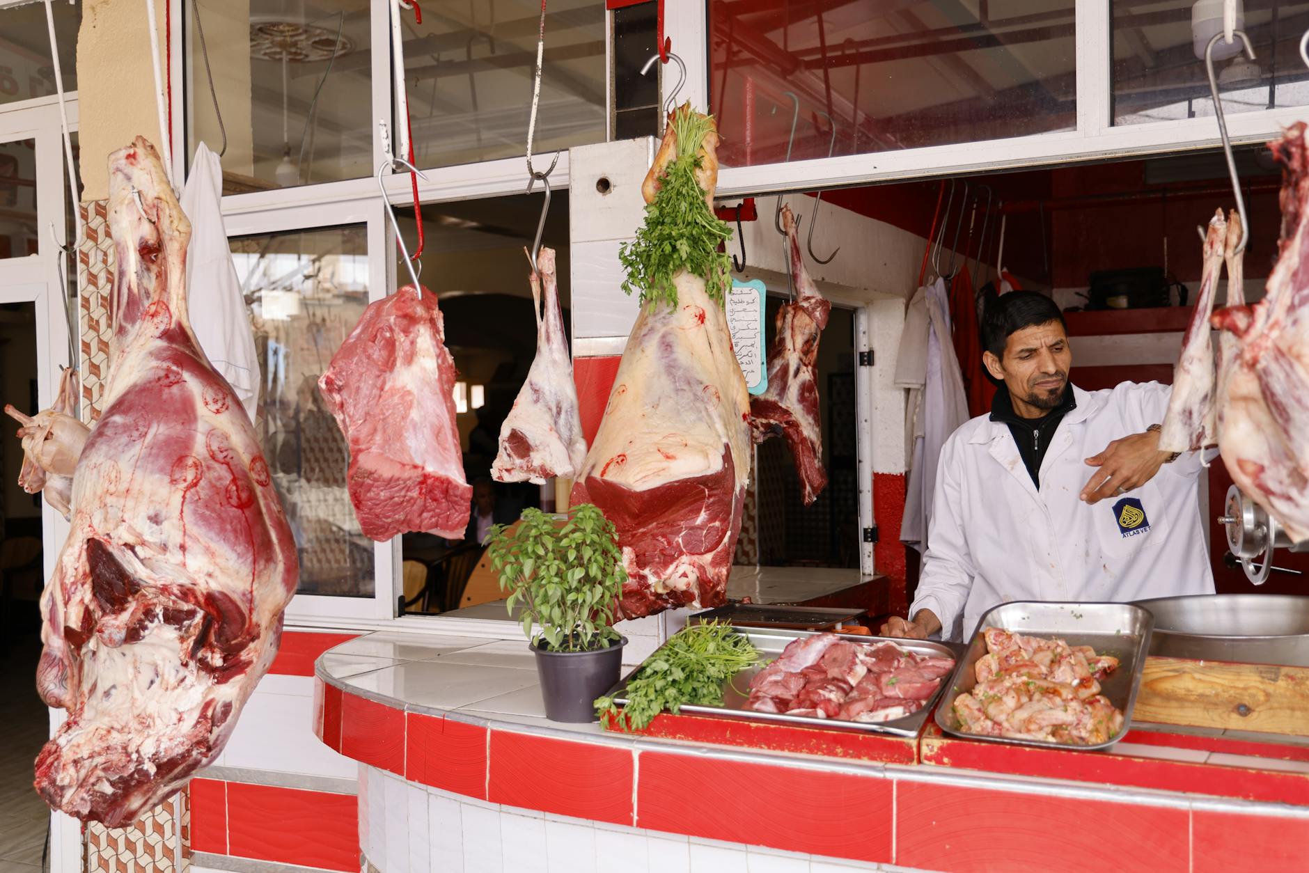 Commercial pest control for butchers
