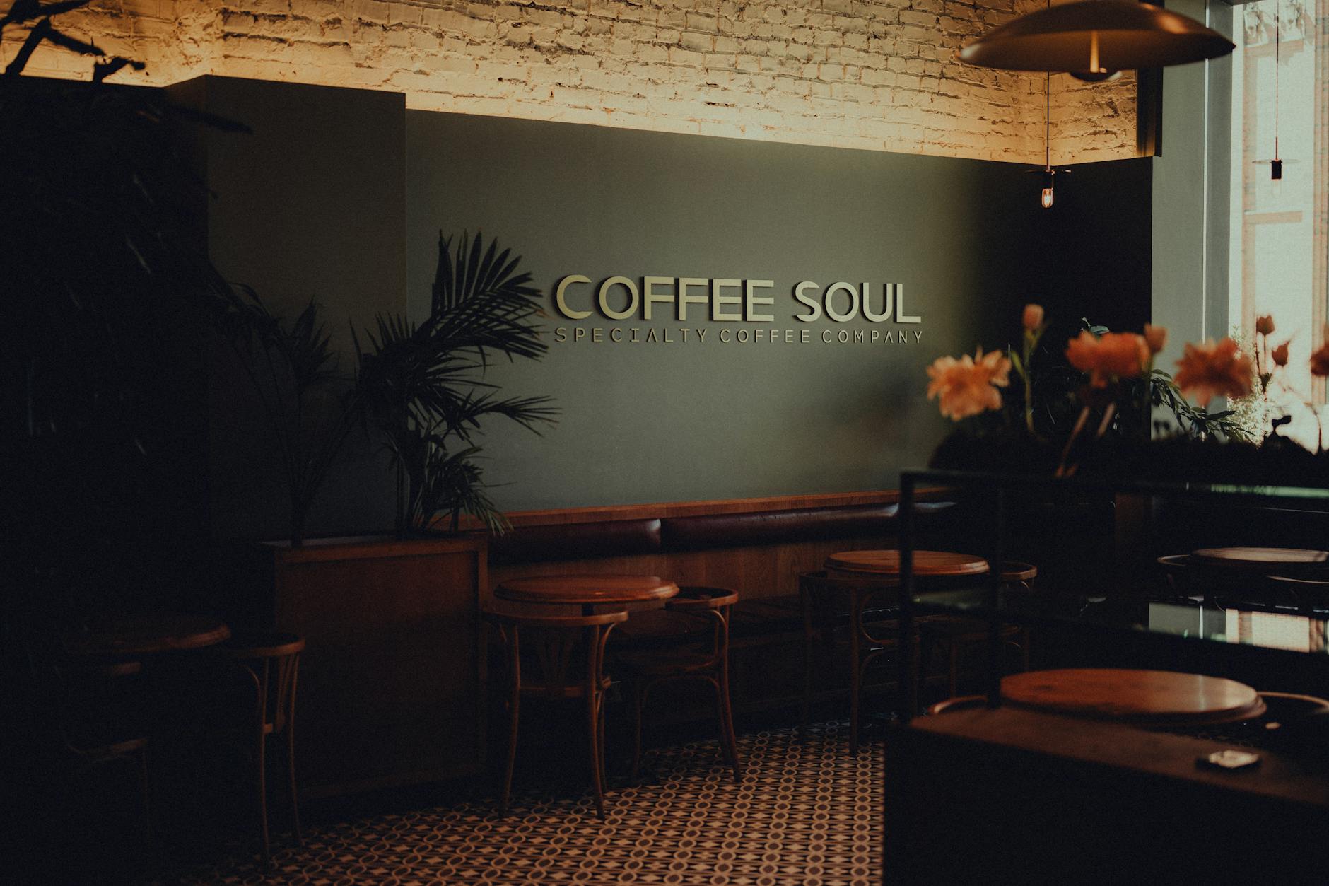 Commercial pest control for cafés