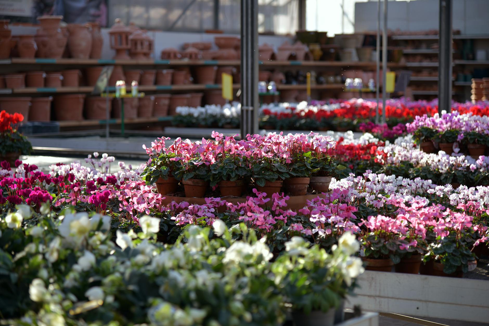 Commercial pest control for garden centres