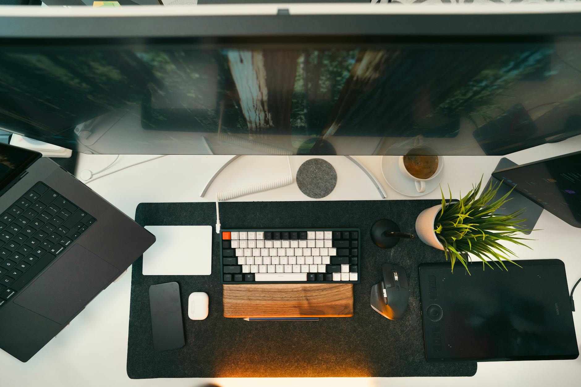 Commercial pest control for graphic designers