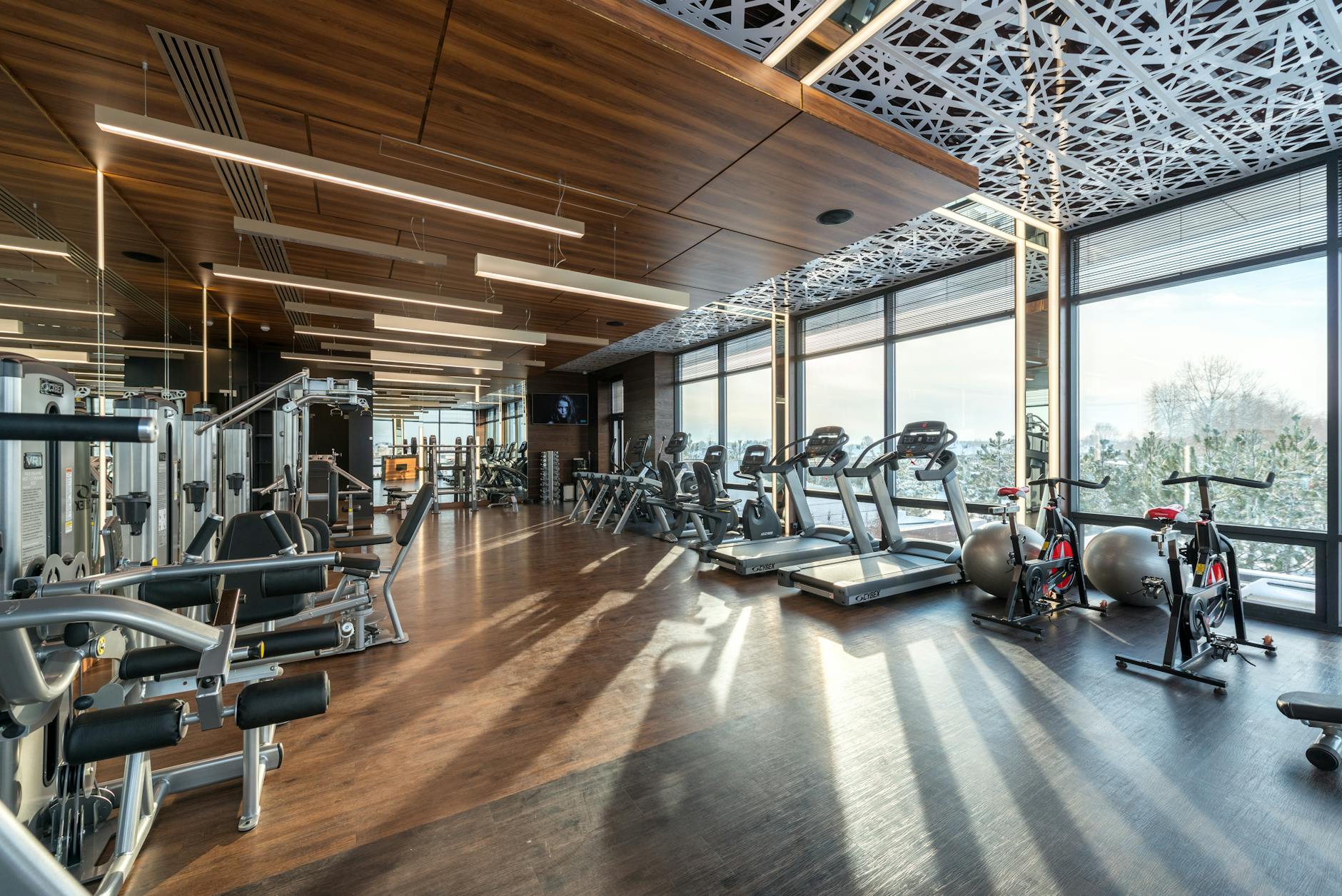 Commercial pest control for gyms