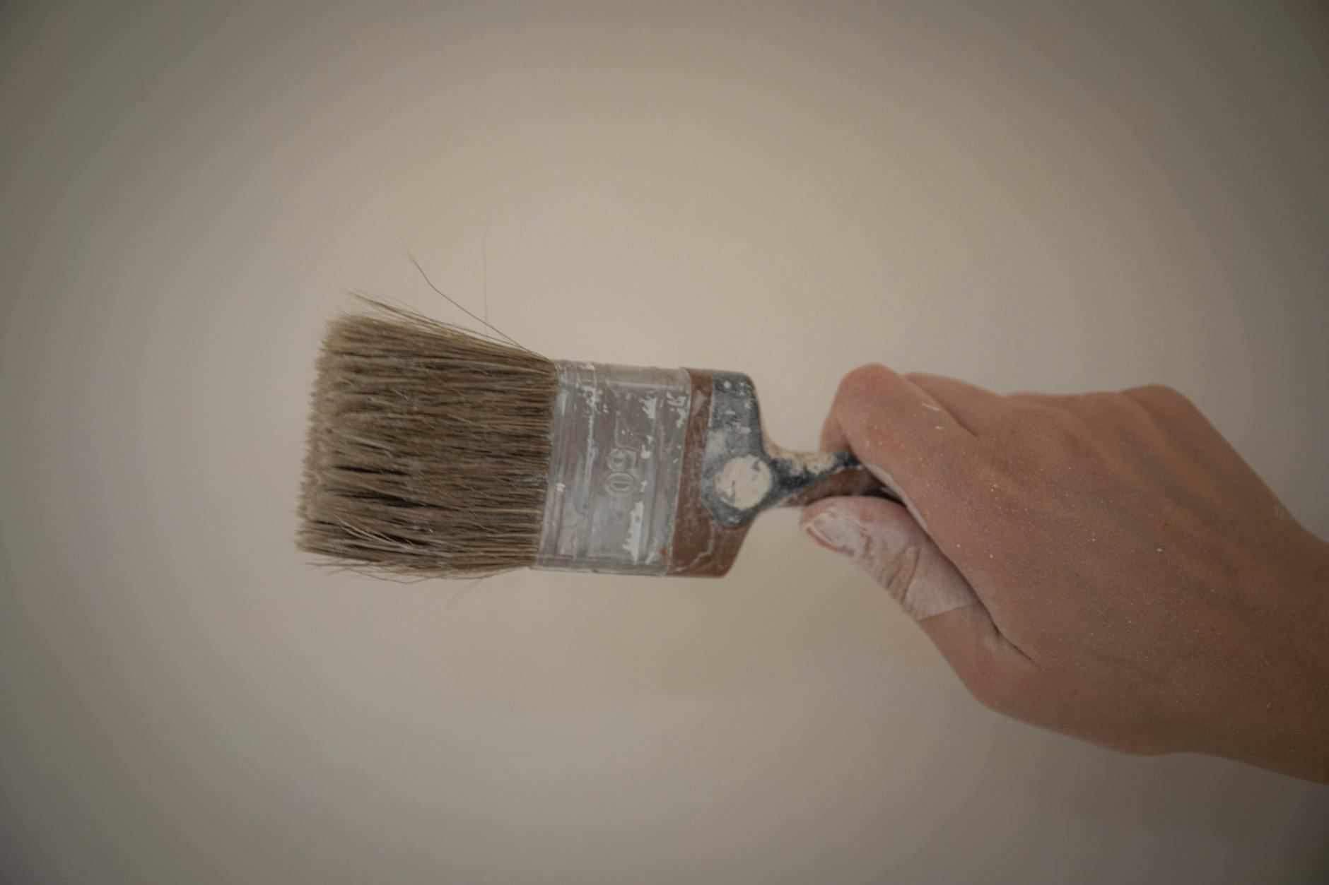 Commercial pest control for painters & decorators
