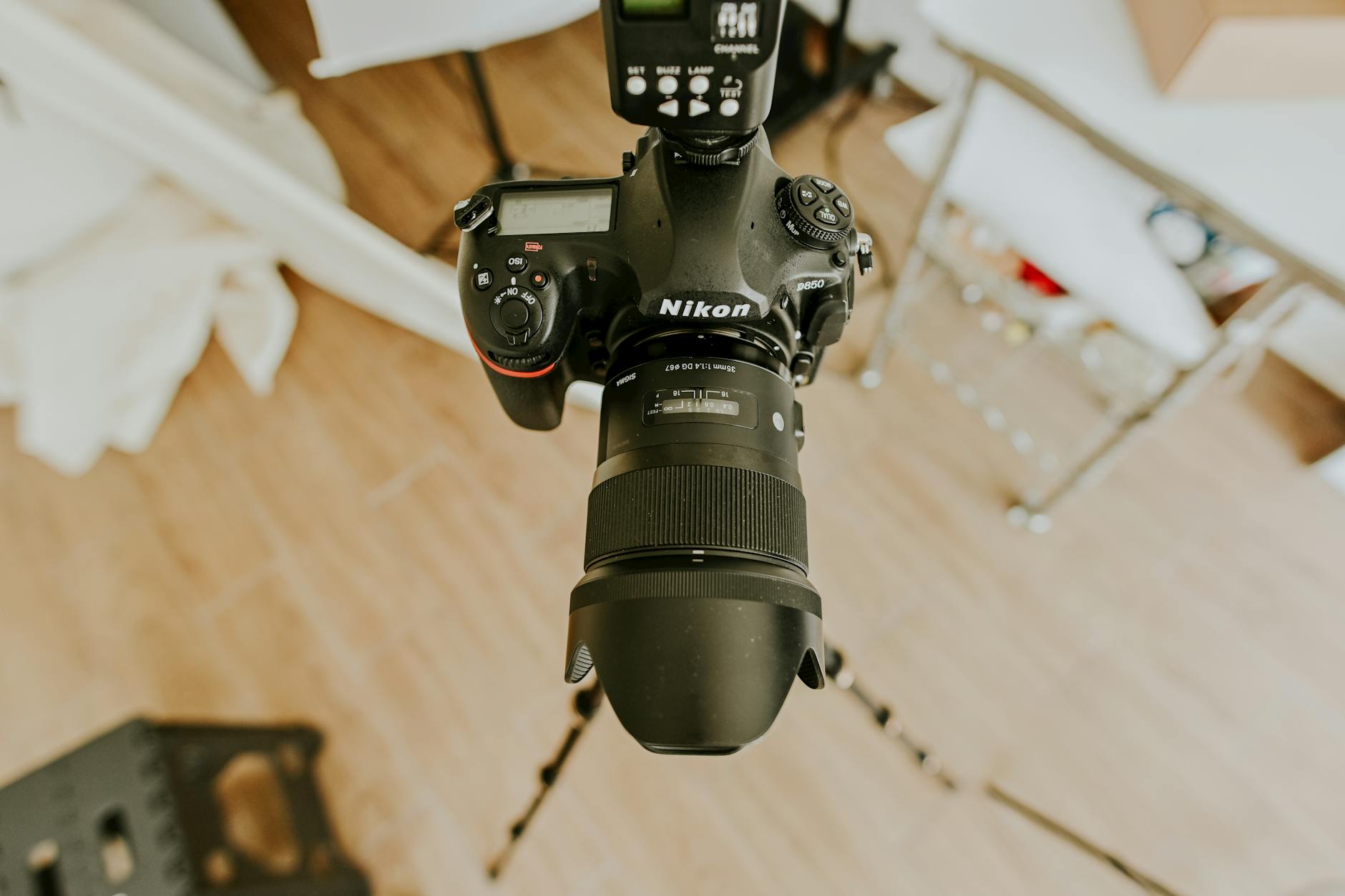 Commercial pest control for photographers