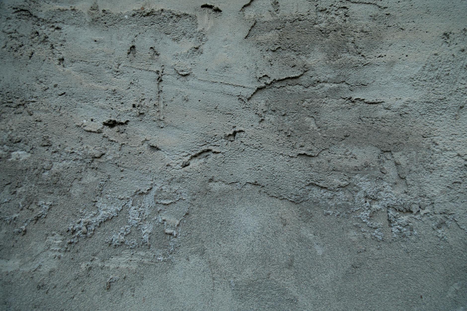 Commercial pest control for plasterers