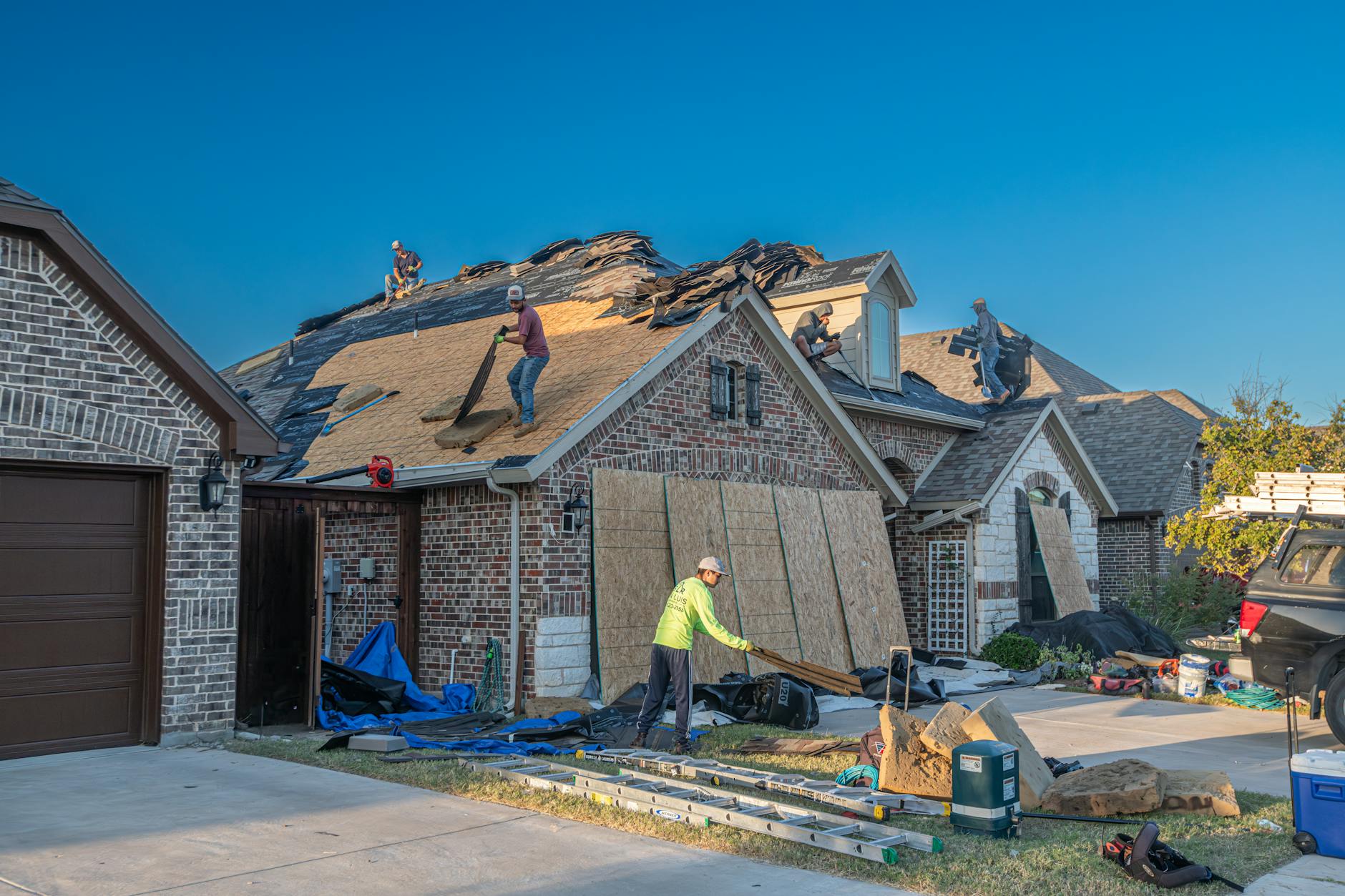 Commercial pest control for roofers