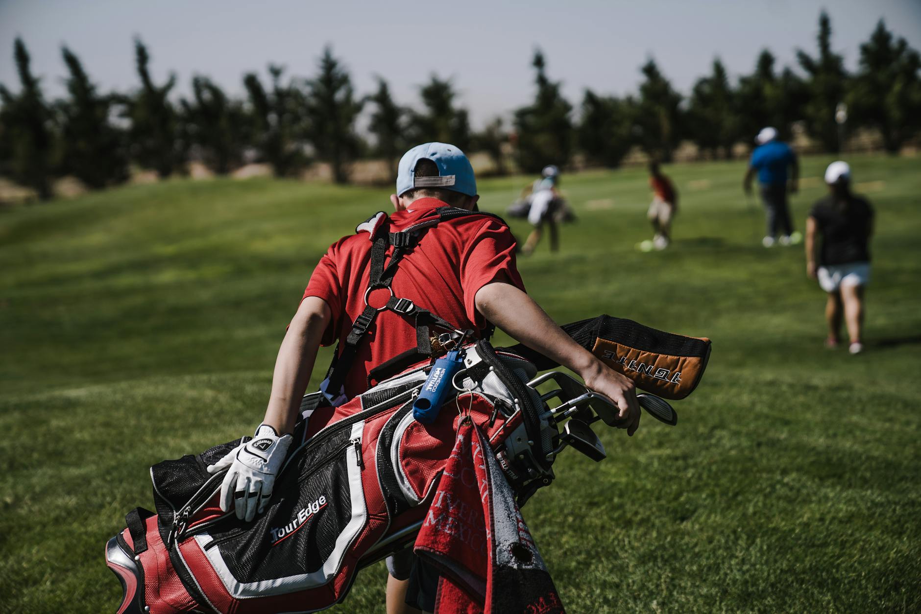 Commercial pest control for sports clubs