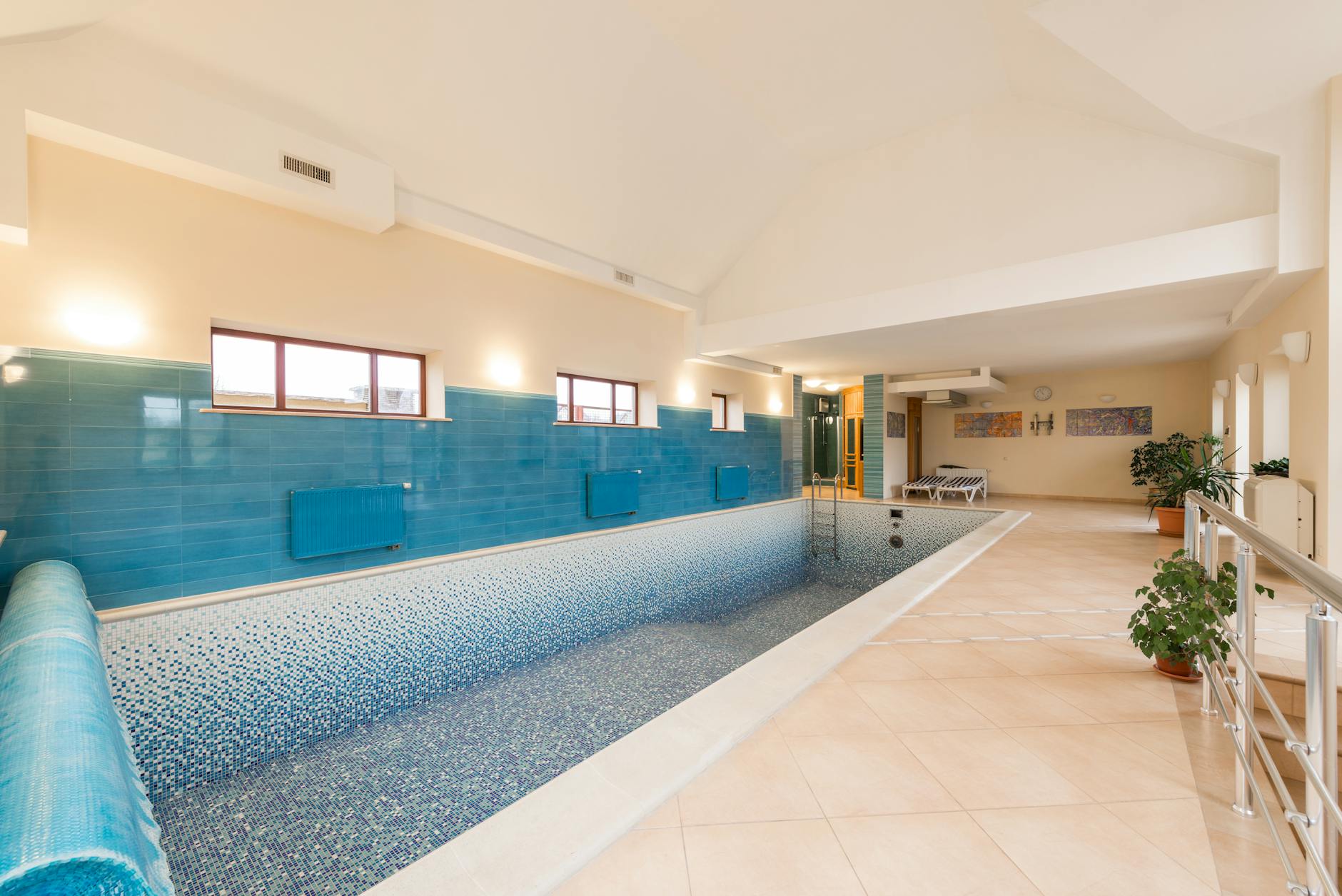 Commercial pest control for swimming pools