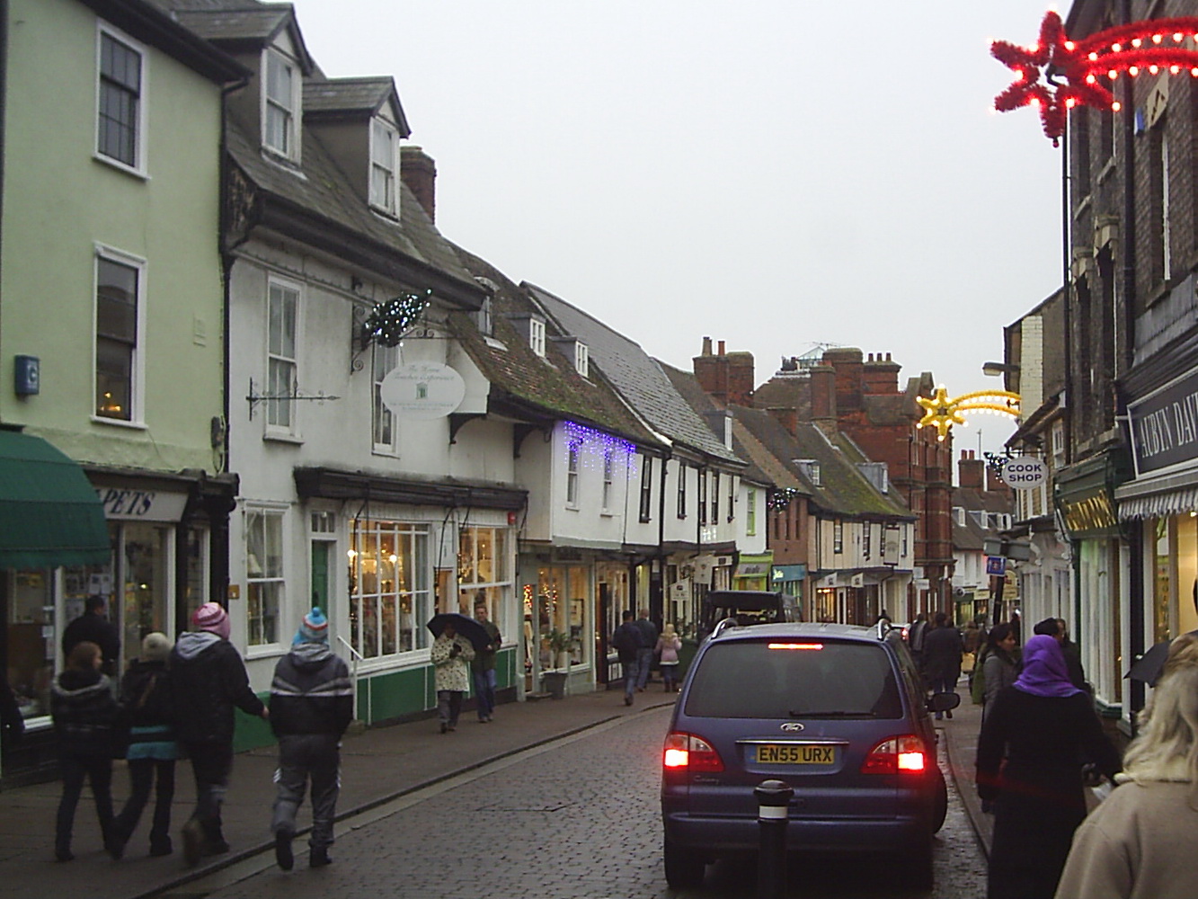 Pest control in Bury St Edmunds