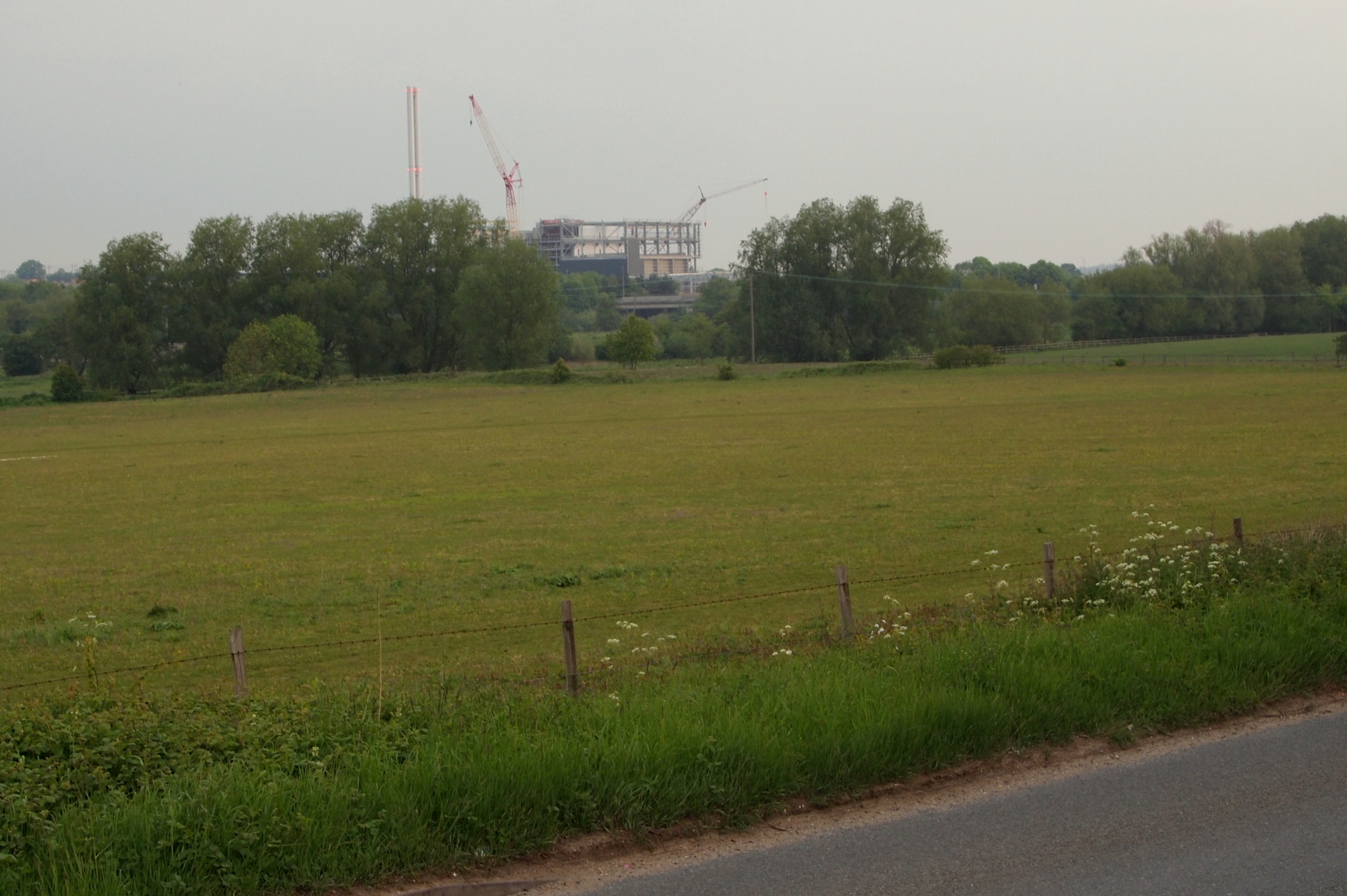 Pest control in Claydon