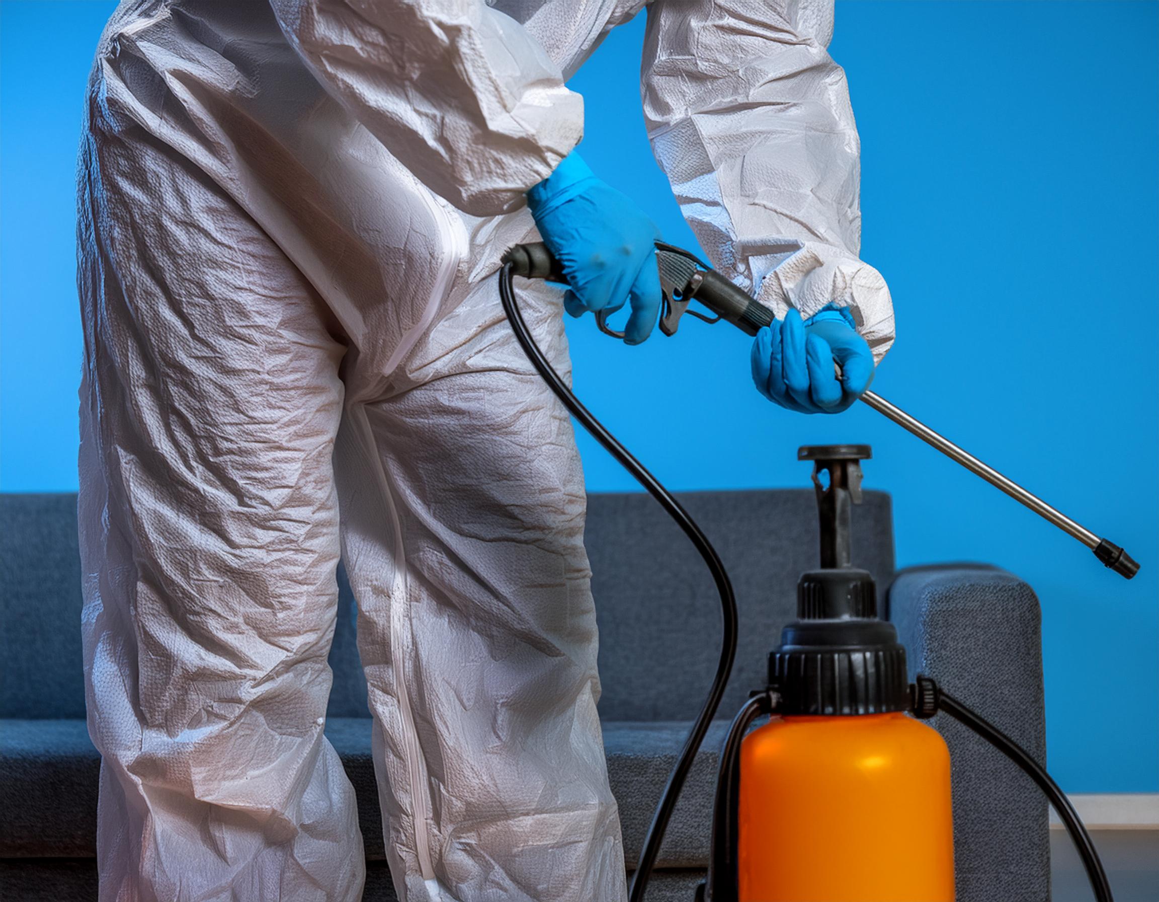 How to Get Rid of Fleas in Your Home