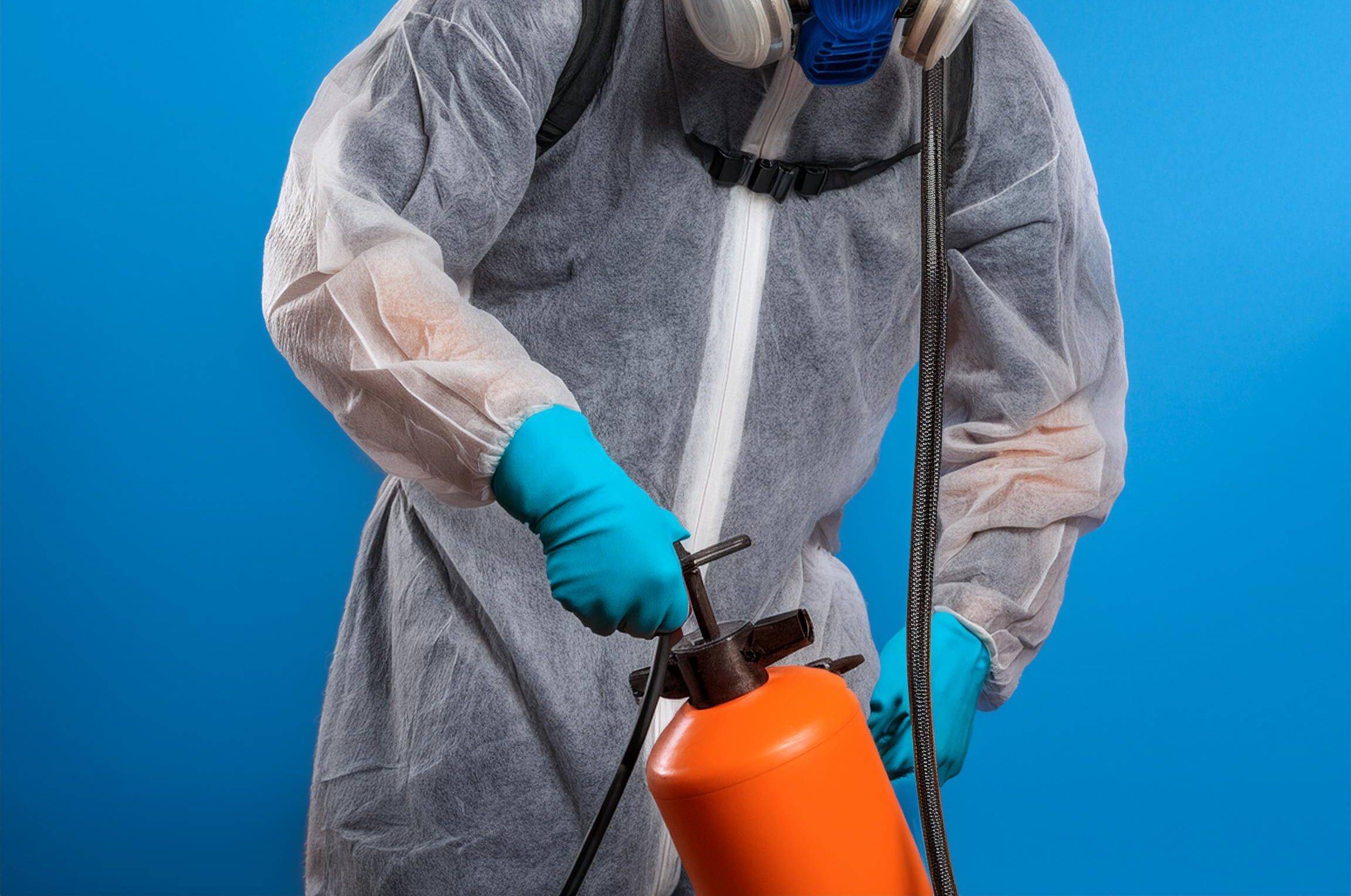 How to Get Rid of Flies