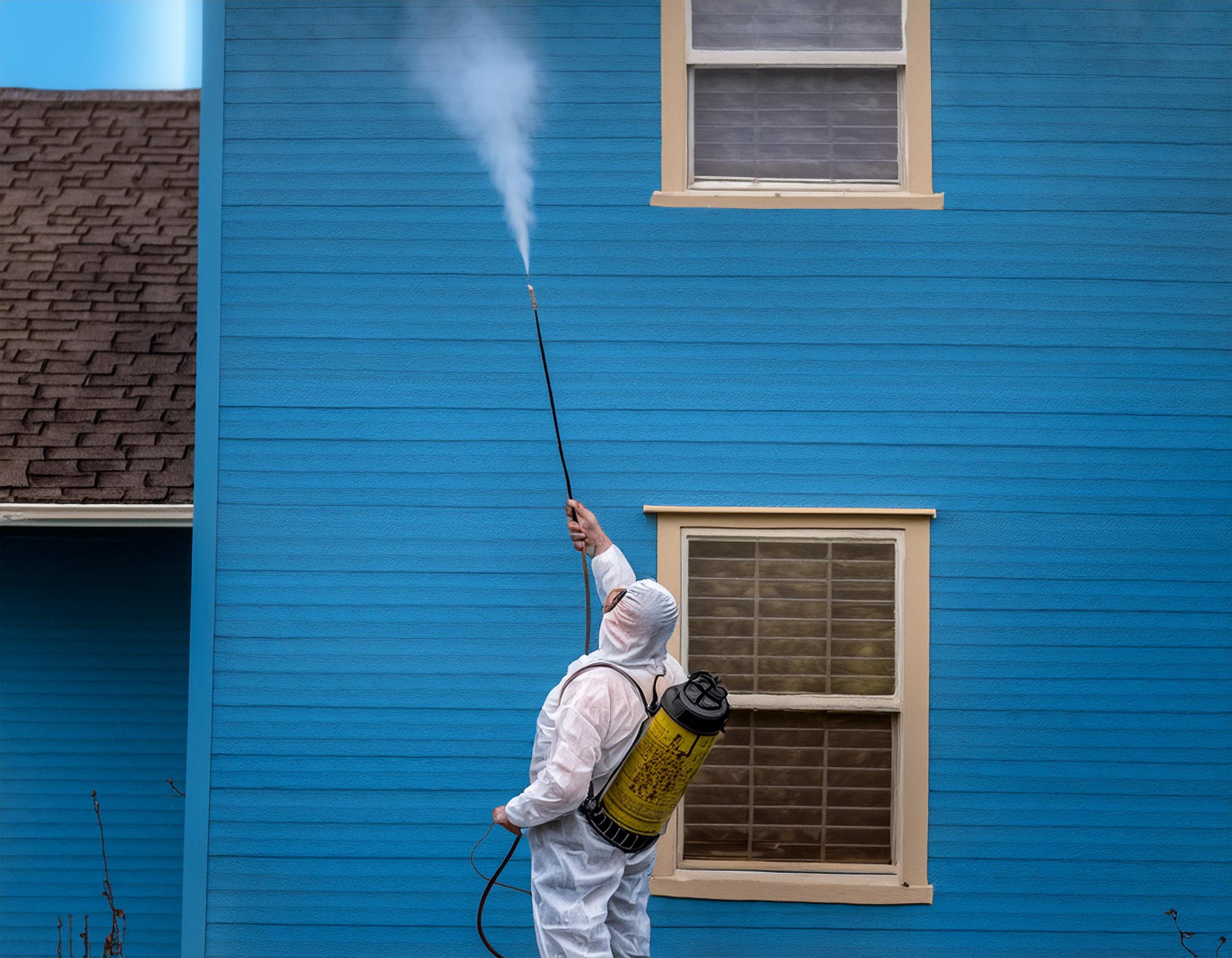 How to Get Rid of Wasps & Wasp Nests